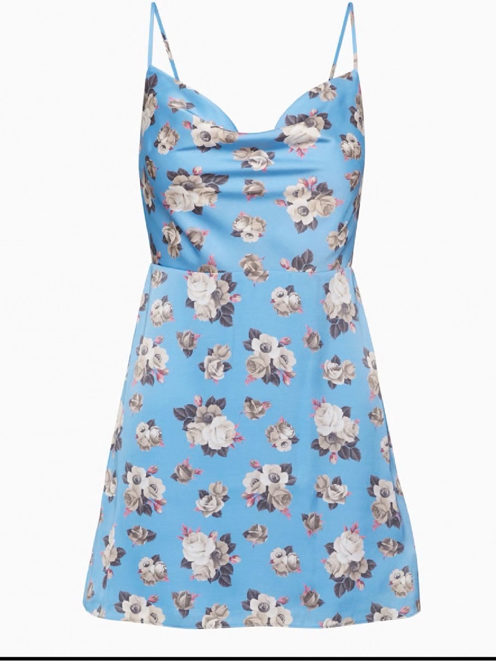 Aritzia Blue Floral Mini Dress